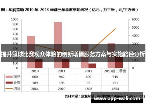 提升篮球比赛观众体验的创新增值服务方案与实施路径分析