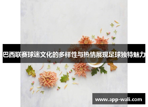 巴西联赛球迷文化的多样性与热情展现足球独特魅力