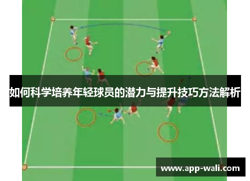 如何科学培养年轻球员的潜力与提升技巧方法解析