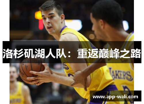 洛杉矶湖人队：重返巅峰之路