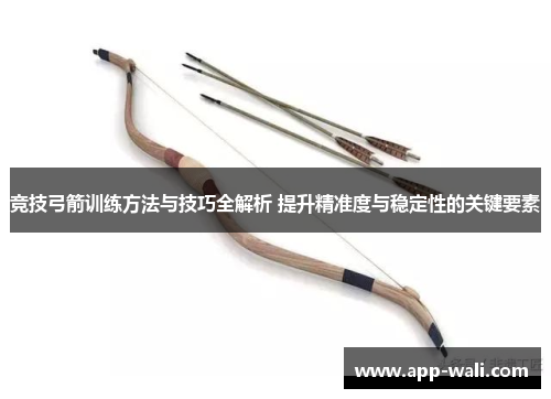 竞技弓箭训练方法与技巧全解析 提升精准度与稳定性的关键要素