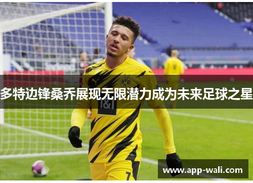 多特边锋桑乔展现无限潜力成为未来足球之星