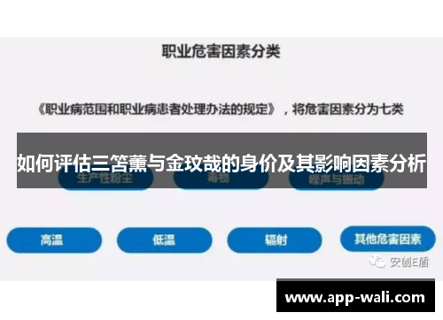 如何评估三笘薰与金玟哉的身价及其影响因素分析