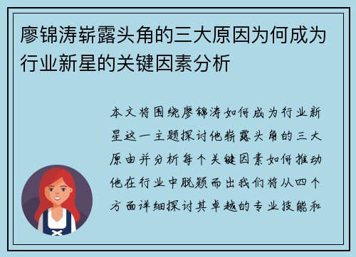 廖锦涛崭露头角的三大原因为何成为行业新星的关键因素分析