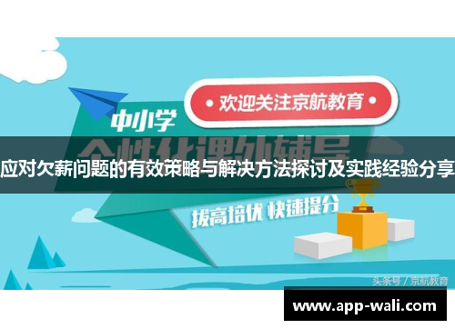 应对欠薪问题的有效策略与解决方法探讨及实践经验分享