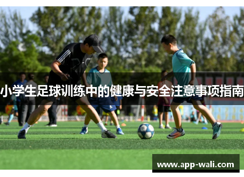 小学生足球训练中的健康与安全注意事项指南