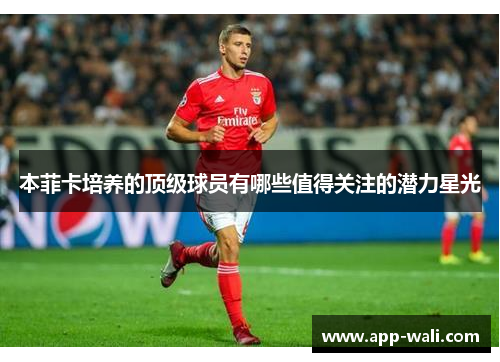 本菲卡培养的顶级球员有哪些值得关注的潜力星光