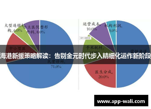 海港新援策略解读：告别金元时代步入精细化运作新阶段