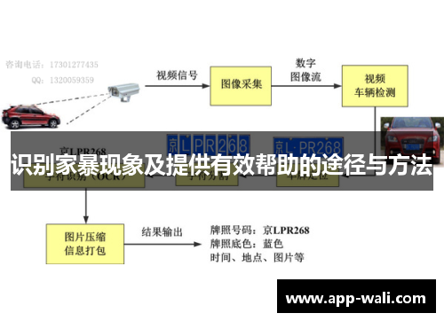 识别家暴现象及提供有效帮助的途径与方法