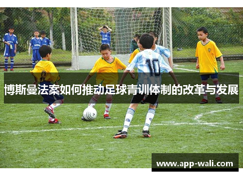 博斯曼法案如何推动足球青训体制的改革与发展
