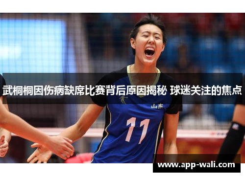 武桐桐因伤病缺席比赛背后原因揭秘 球迷关注的焦点