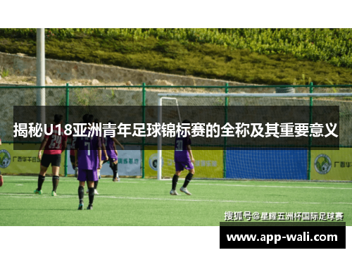 揭秘U18亚洲青年足球锦标赛的全称及其重要意义