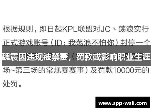 魏震因违规被禁赛，罚款或影响职业生涯