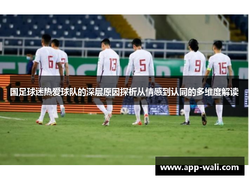 国足球迷热爱球队的深层原因探析从情感到认同的多维度解读