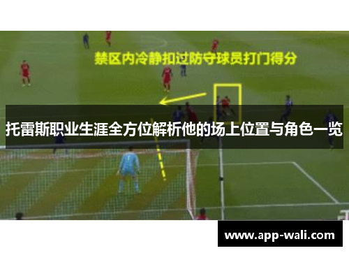 托雷斯职业生涯全方位解析他的场上位置与角色一览